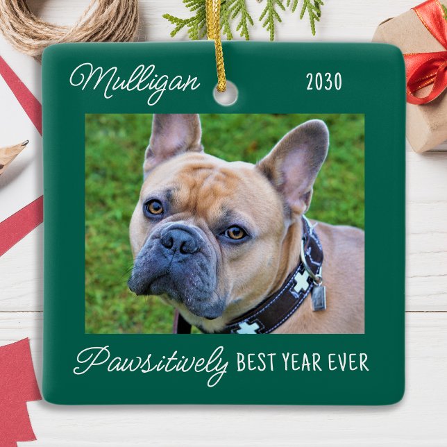 Adorno De Cerámica Mascota de Navidades de Cuarentena Verde de perro  (Subido por el creador)