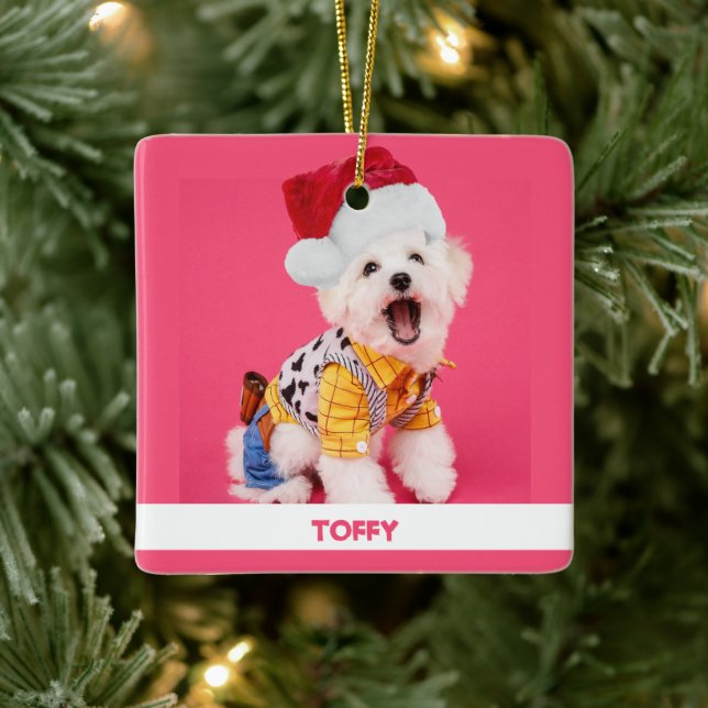 Adorno De Cerámica Mascota de Navidades personalizados (Árbol)