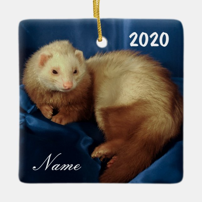 Adorno De Cerámica Mascota Ferret personalizado (Anverso)