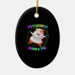 Adorno De Cerámica Mascota Fiesta de Guinea Pig EDM Cerdo colorido