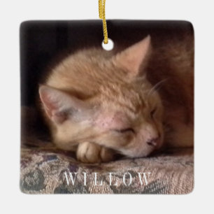 Adorno De Cerámica MASCOTA LOVE Ceramic Square Ornament
