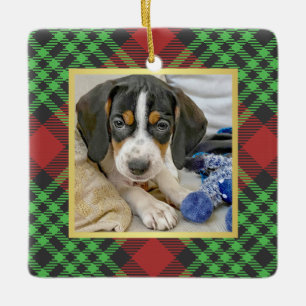 Adorno De Cerámica Mascota Luminoso Plaid Foto Primera Navidad