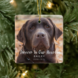 Adorno De Cerámica Mascota Memorial Personalizado Foto Perra