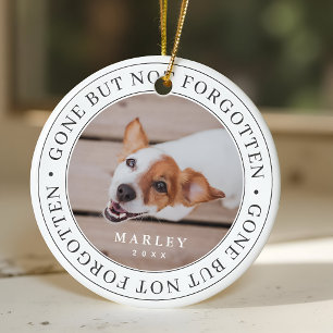 Adorno De Cerámica Mascota memorial se fue pero no olvidó la foto mod