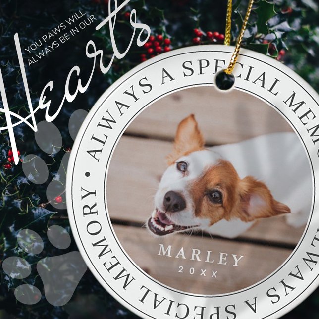 Adorno De Cerámica Mascota memorial siempre es una memoria especial m (Subido por el creador)