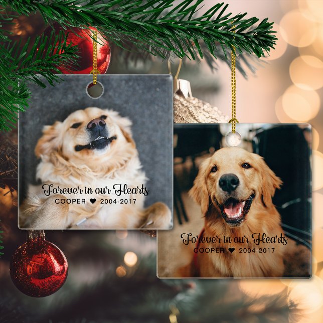 Adorno De Cerámica Mascota Memorial Sympathy 2 Foto (Pet Memorial Sympathy 2 Photo Ceramic Ornament)