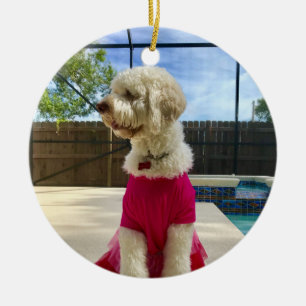 Adorno De Cerámica Mascota Personalizado