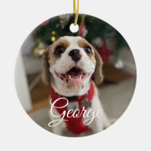 Adorno De Cerámica Mascota personalizado