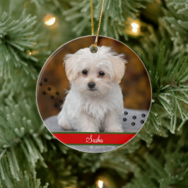 Adorno De Cerámica Mascota personalizado Foto ~ Doble cara Personaliz