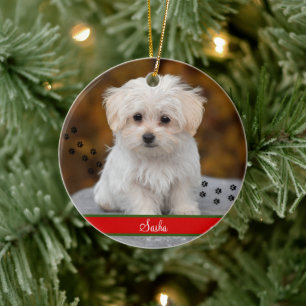 Adorno De Cerámica Mascota personalizado Foto ~ Doble cara Personaliz