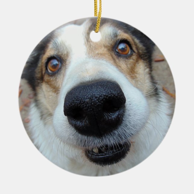 Adorno De Cerámica Mascota personalizado Foto Perro Perro Lover Perso (Frente)