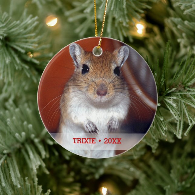 Adorno De Cerámica Mascota personalizado Gerbil nombre foto árbol de  (Árbol)