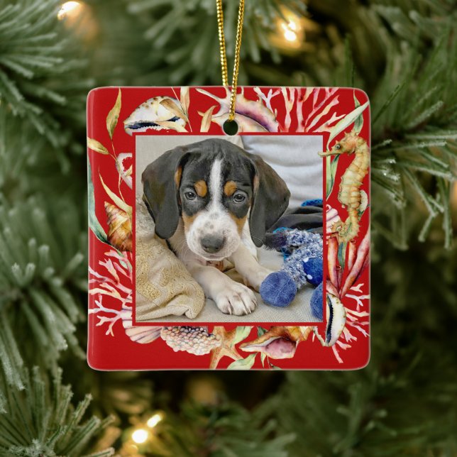 Adorno De Cerámica Mascota personalizado Navidades de Photo Beach (Árbol)