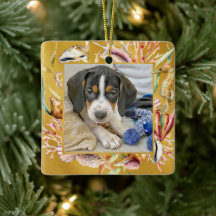 Mascota personalizado Navidades de Photo Beach