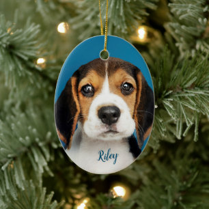 Adorno De Cerámica Mascota personalizado, perro