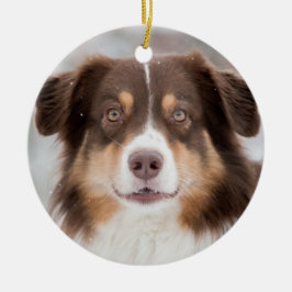 Adorno De Cerámica Mascota personalizado Perro 2 Navidades de fotogra
