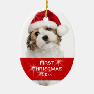 Adorno De Cerámica Mascota personalizado primera foto de Navidad
