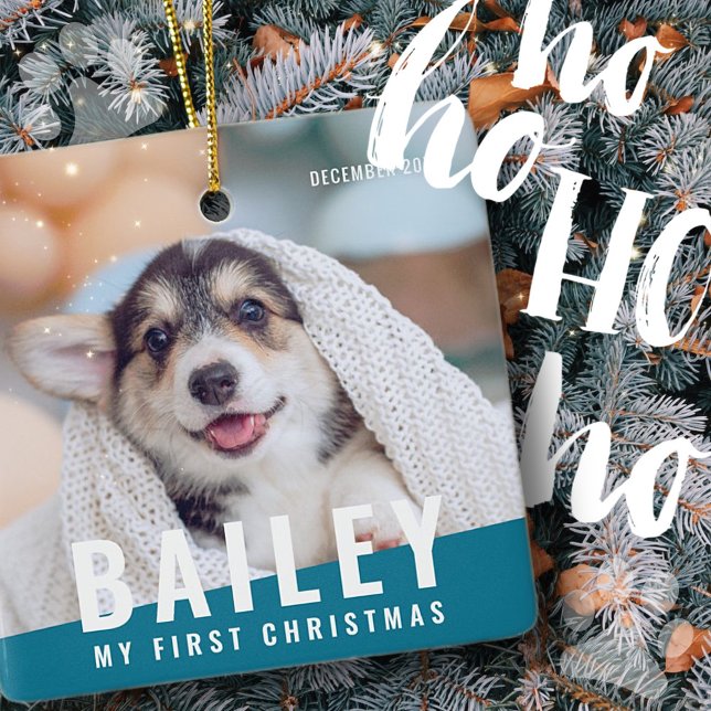 Adorno De Cerámica Mascota Primer Personalizado de Navidad Año de la  (Subido por el creador)