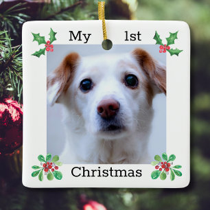 Adorno De Cerámica Mascota Primera foto de Navidad