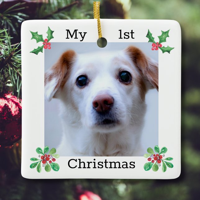 Adorno De Cerámica Mascota Primera foto de Navidad (Subido por el creador)
