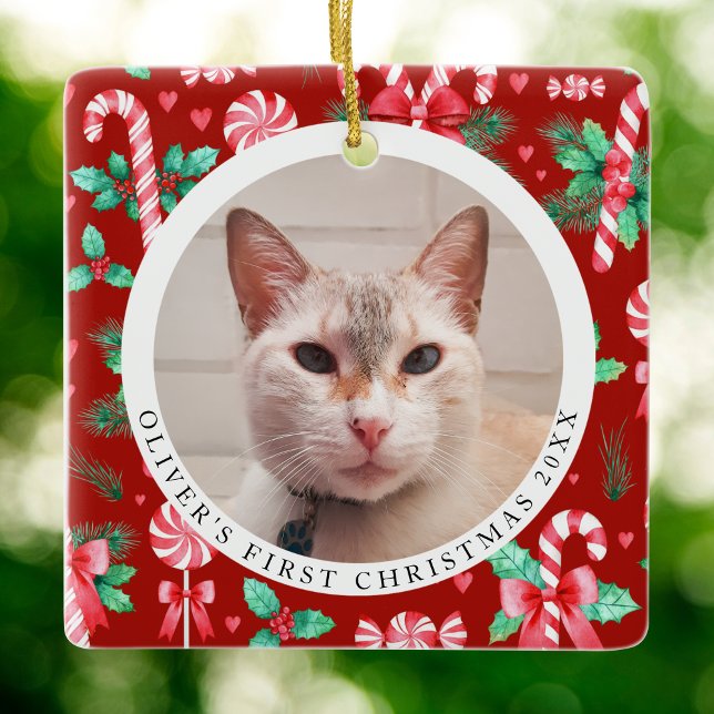 Adorno De Cerámica Mascota Primera foto de Navidad acuarela Candy Can (Pets First Christmas Photo Watercolor Candy Canes Ceramic Ornament)