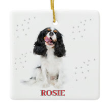 Mascota Primera Navidad En Forever Home Modern