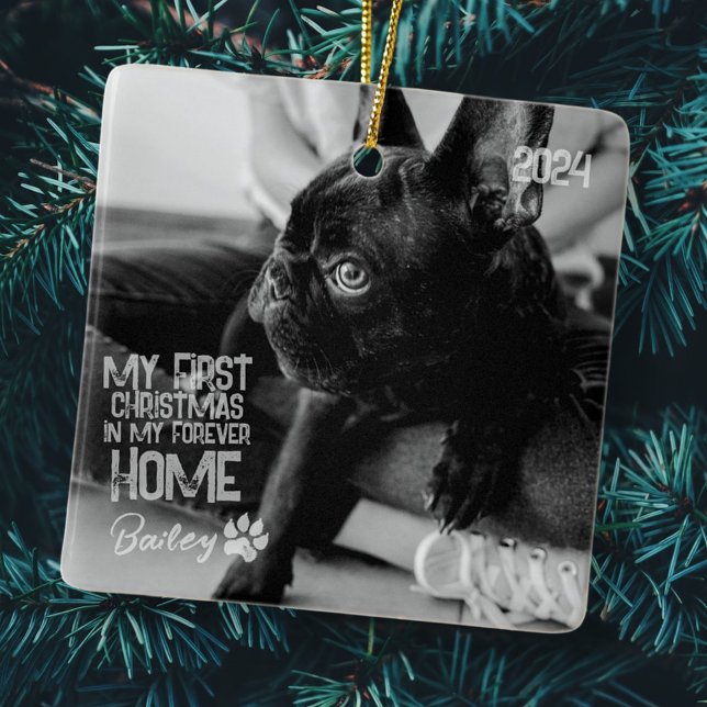 Adorno De Cerámica Mascota Primera Navidad Por Siempre Casa Moderno G (Subido por el creador)
