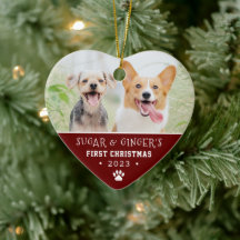 Mascota Primera Papelera de Navidad Imprimir foto 