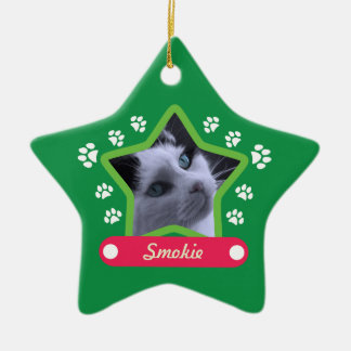 Adorno De Cerámica Mascota verde y rosa mira a Navidades Foto