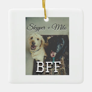 Adorno De Cerámica Mascotas amigos bestias agregar nombre mascota fot