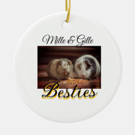 Adorno De Cerámica Mascotas amigos bestias agregar nombre mascota fot