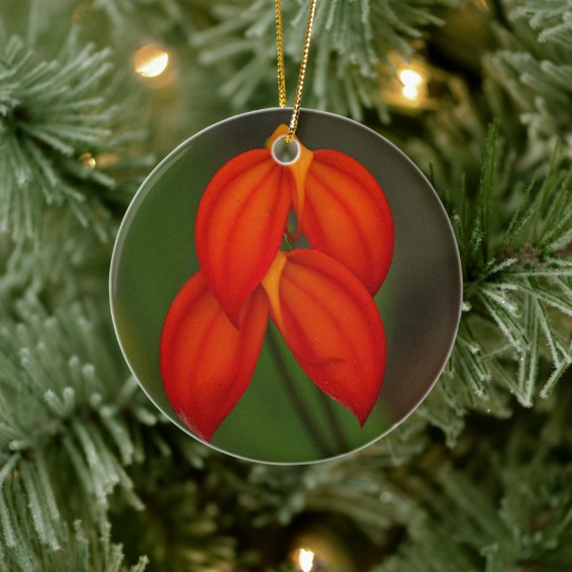 Adorno De Cerámica Masdevallia ignea Orchid (Árbol)