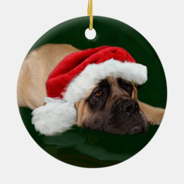 Adorno De Cerámica Mastiff en un sombrero de Santa (Atrás)