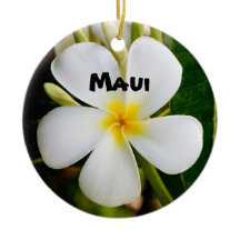 Maui Espectacular