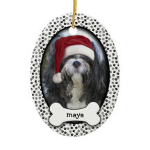 Maya