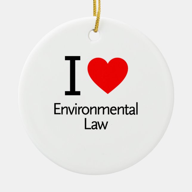 Adorno De Cerámica Me Encanta El Derecho Ambiental (Frente)