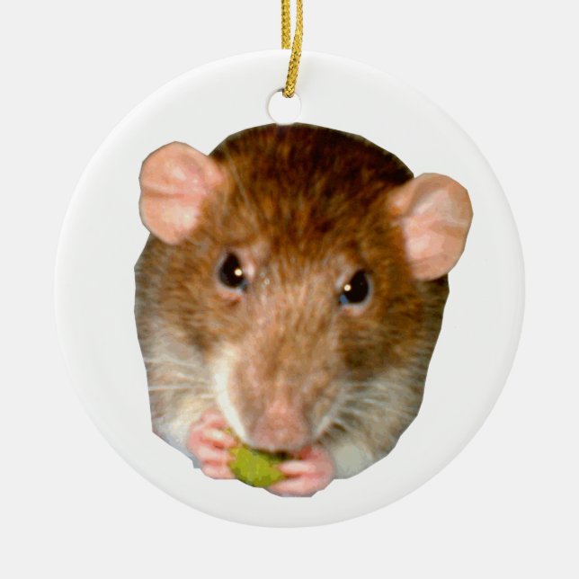 Adorno De Cerámica Me encantan las ratas hambrientas (Frente)
