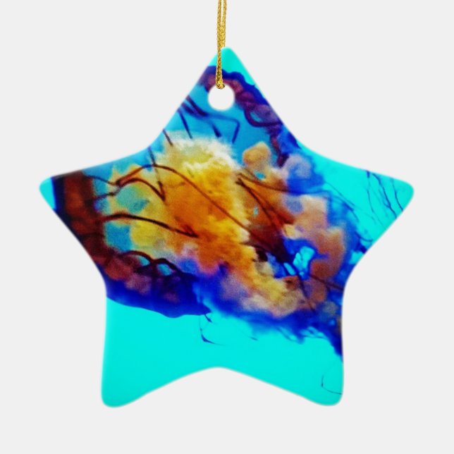 Adorno De Cerámica Medusas/ortiga pacífica del mar/ (Frente)