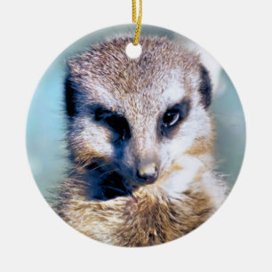 ADORNO DE CERÁMICA MEERKAT