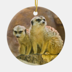 Adorno De Cerámica meerkat