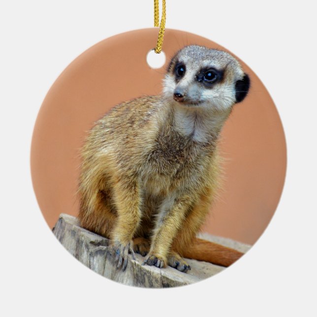 Adorno De Cerámica Meerkat hermoso (Frente)