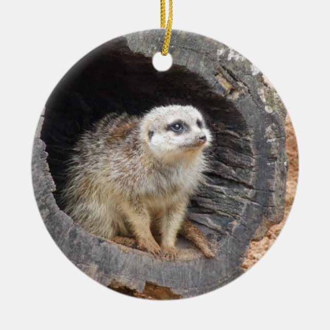 Adorno De Cerámica Meerkat Ornament (Frente)