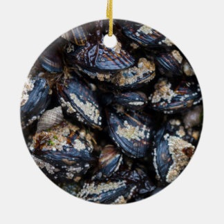 Adorno De Cerámica Mejillones azules de California que crecen en roca