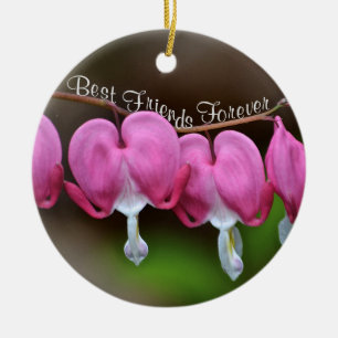 Adorno De Cerámica Mejor Amigos para siempre