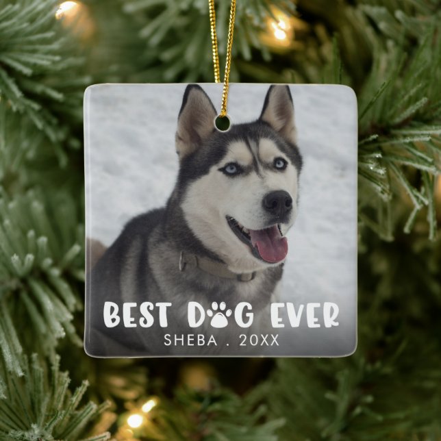 Adorno De Cerámica MEJOR PERRO EVIDENTE Imprimir foto personalizada (Árbol)