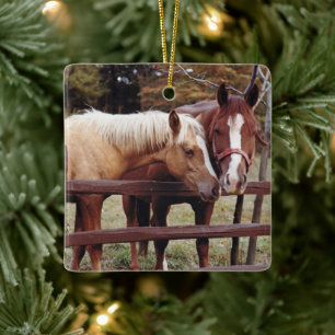 Adorno De Cerámica Mejores amigos