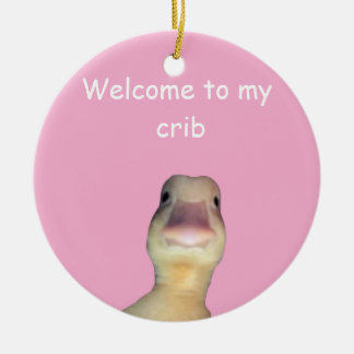 Adorno De Cerámica Meme del Pato Divertido – “Bienvenido a Mi Casa” A