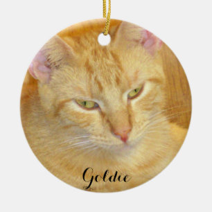 Adorno De Cerámica Meow Cats