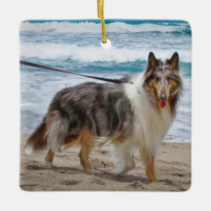 Adorno De Cerámica Merle Collie Dog en la playa