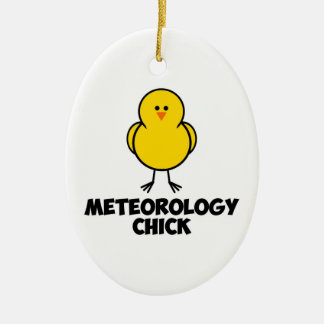 Adorno De Cerámica Meterología CHick